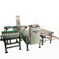 Inline Checkweigher Machine for Food Packaging